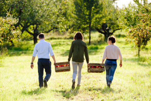 Team von DR. HÖHL'S in Obstgarten